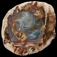 Esterel - Plateau de Grane